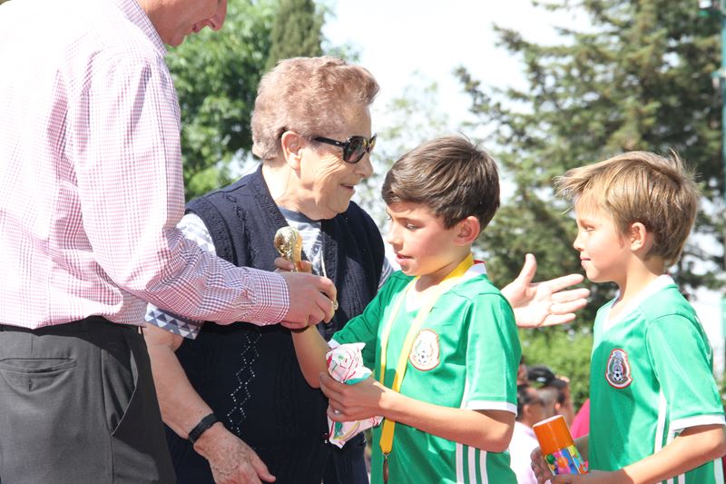 Ir a la Siguiente Foto