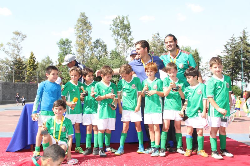 Ir a la Siguiente Foto