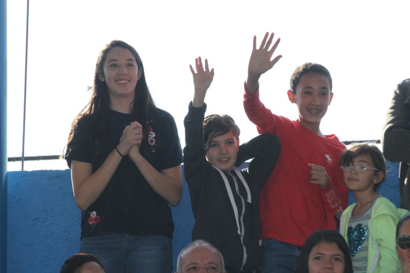 Ir a la Siguiente Foto