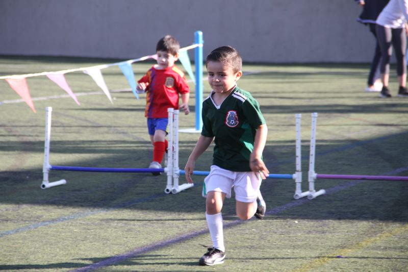 Ir a la Siguiente Foto