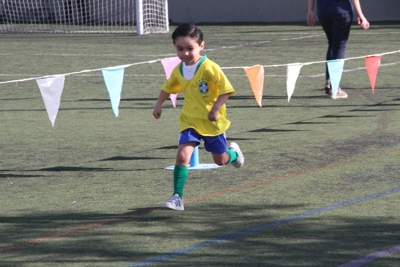 Ir a la Siguiente Foto