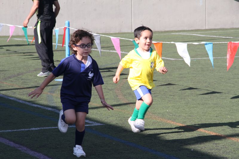 Ir a la Siguiente Foto