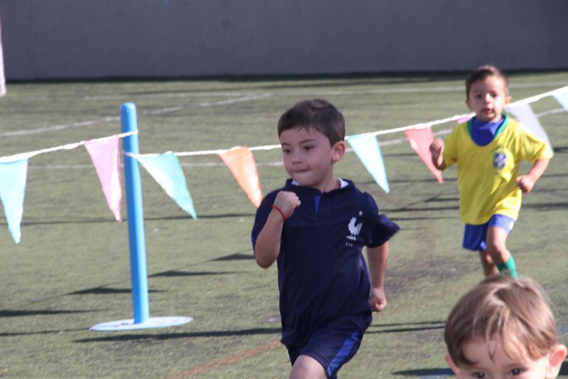 Ir a la Siguiente Foto