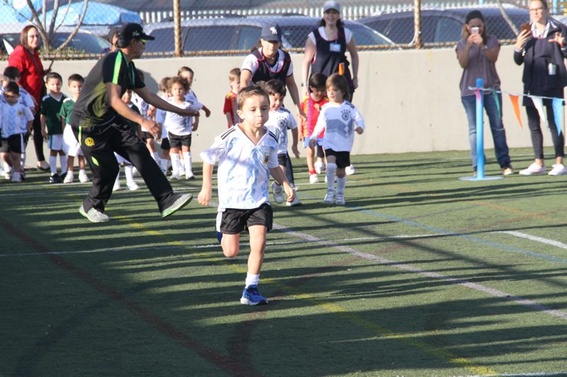 Ir a la Siguiente Foto