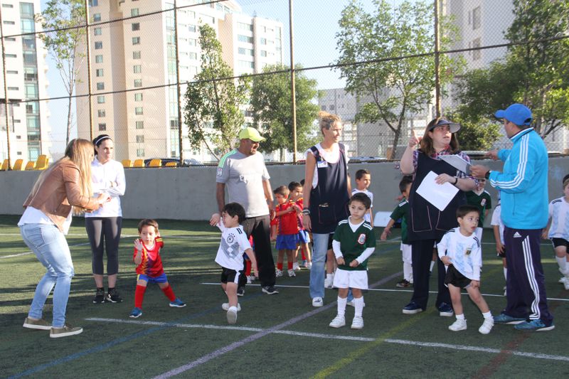 Ir a la Siguiente Foto