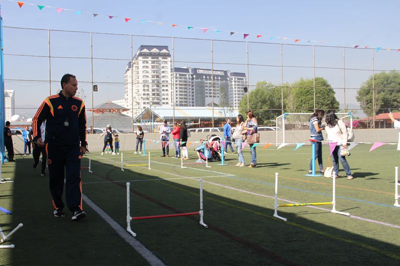 Ir a la Siguiente Foto