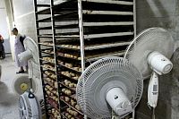 polvorones2017268.jpg