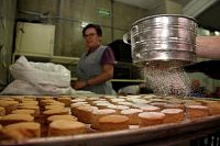 polvorones2017272.jpg
