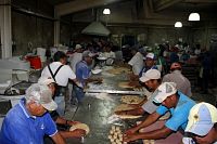 polvorones201740.jpg