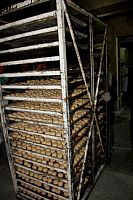 polvorones201747.jpg