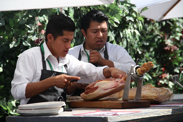 Ir a la Siguiente Foto