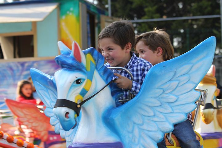 Ir a la Siguiente Foto