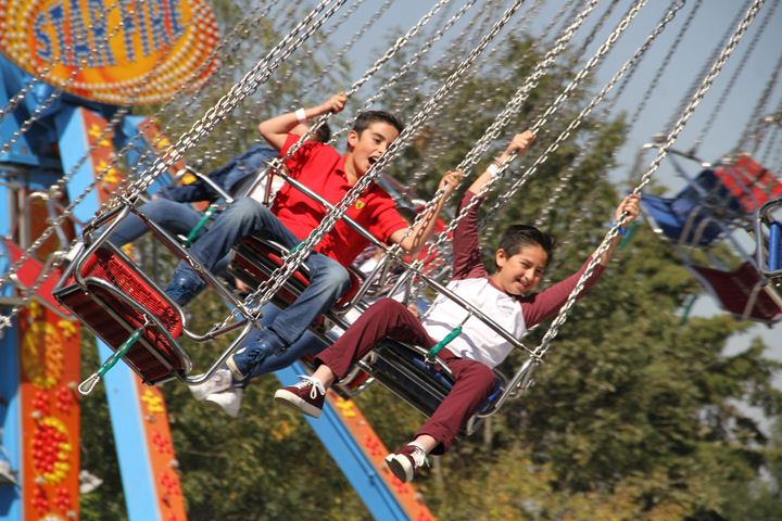 Ir a la Siguiente Foto