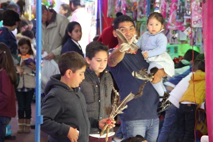 Ir a la Siguiente Foto