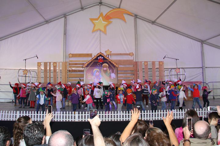 Ir a la Siguiente Foto