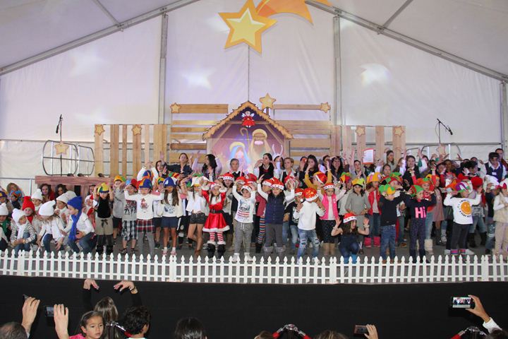 Ir a la Siguiente Foto