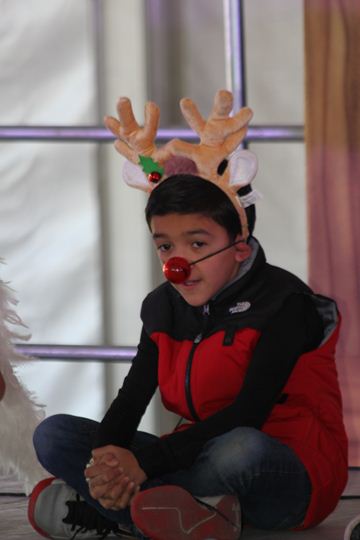 Ir a la Siguiente Foto