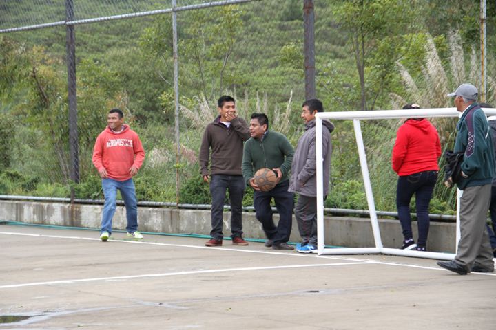 Ir a la Siguiente Foto