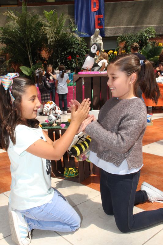 Ir a la Siguiente Foto