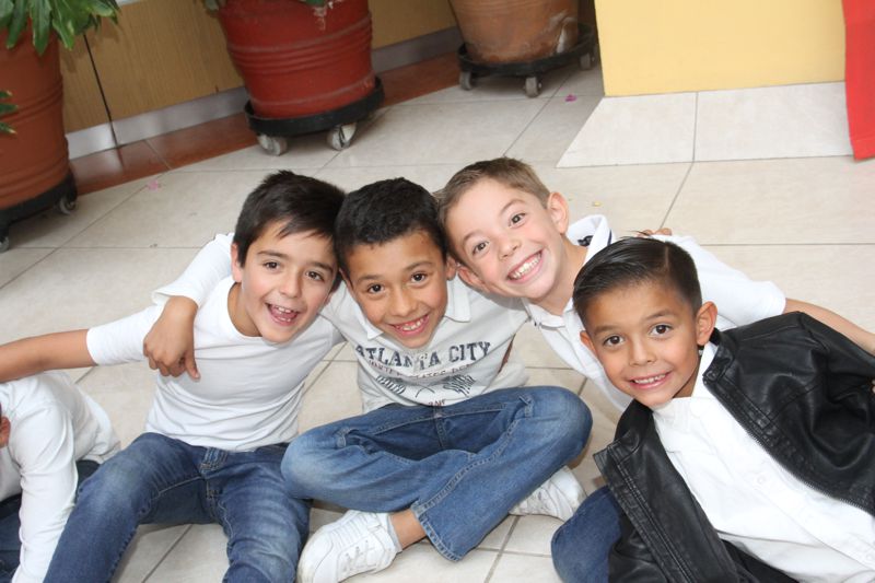 Ir a la Siguiente Foto