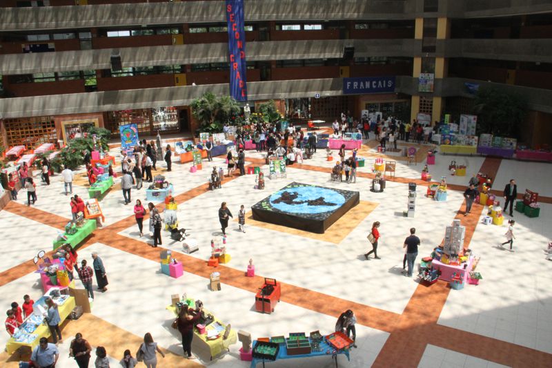 Ir a la Siguiente Foto