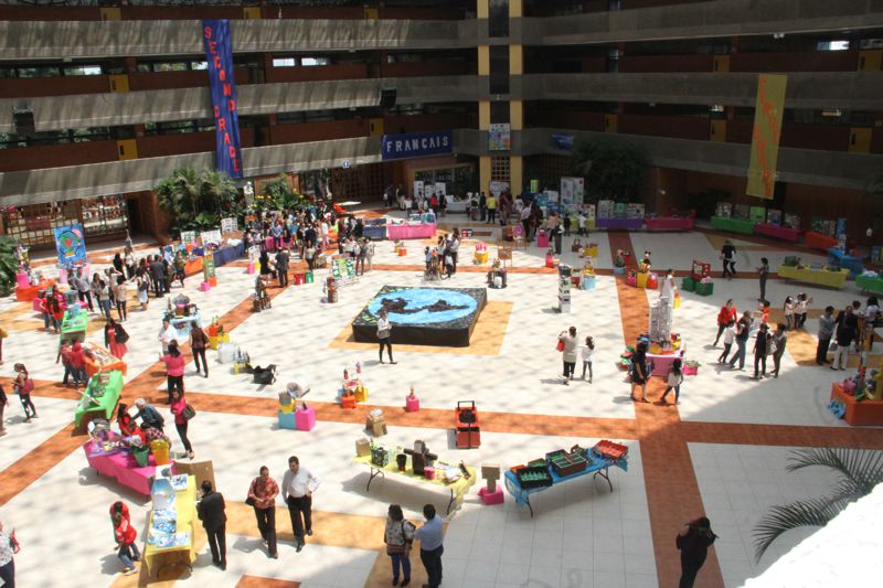 Ir a la Siguiente Foto