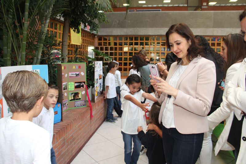 Ir a la Siguiente Foto