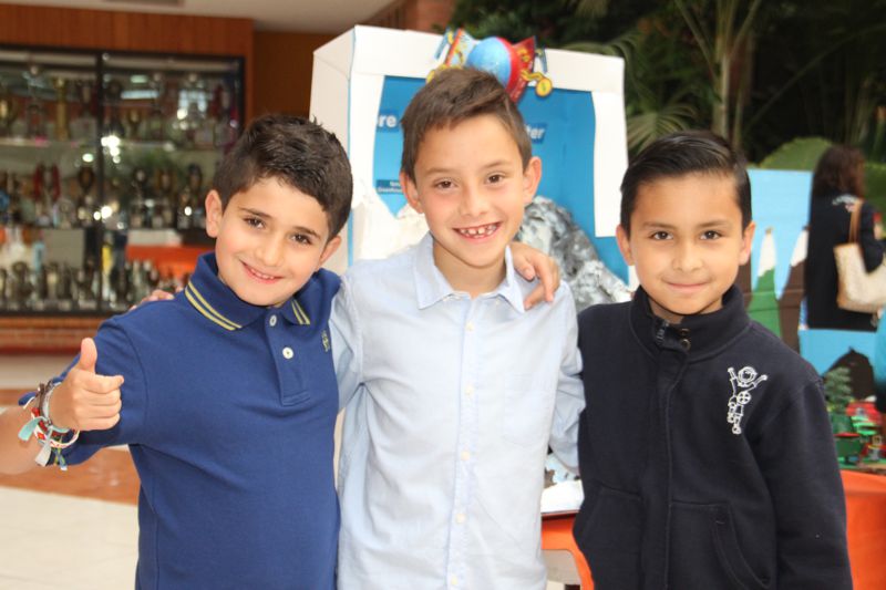 Ir a la Siguiente Foto