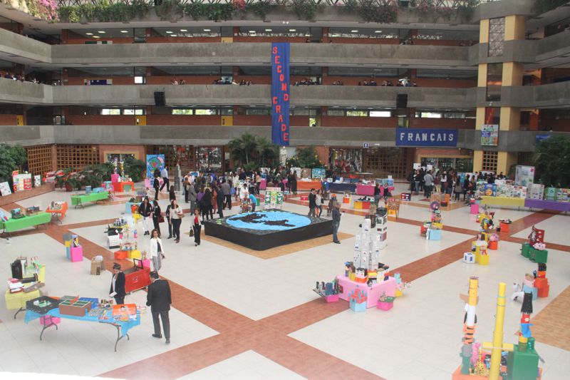 Ir a la Siguiente Foto