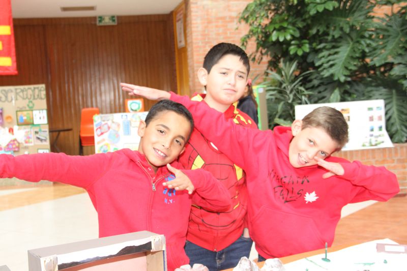 Ir a la Siguiente Foto