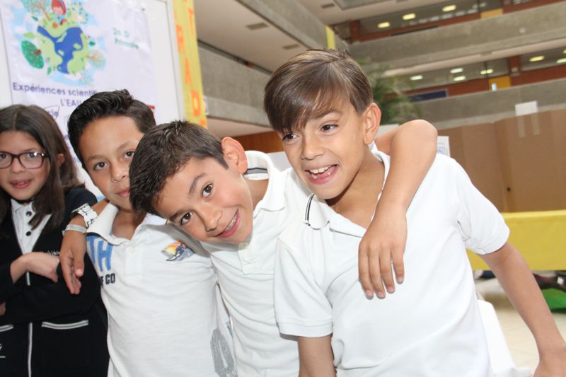 Ir a la Siguiente Foto