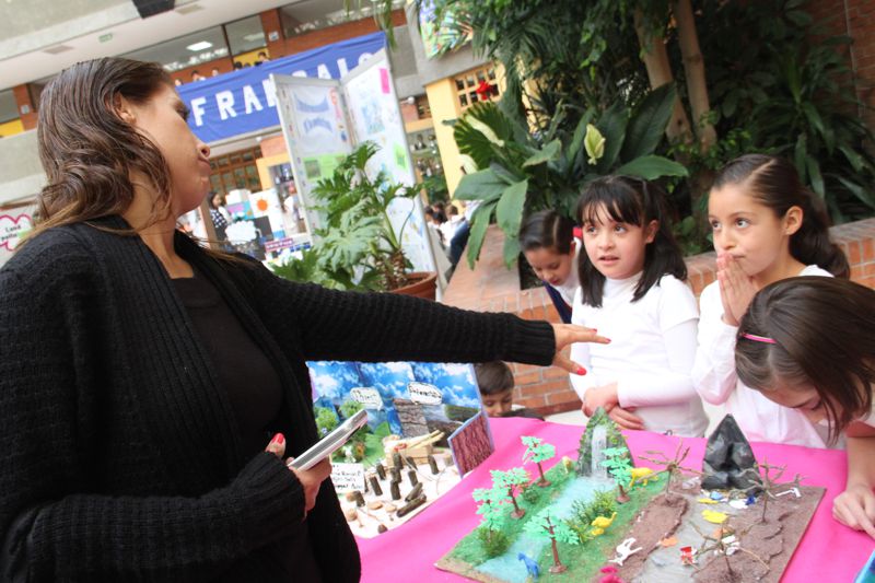 Ir a la Siguiente Foto