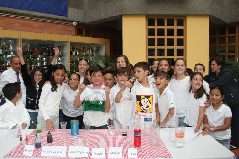 Ir a la Siguiente Foto