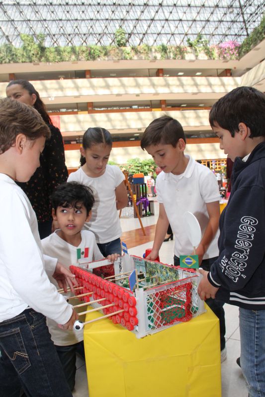 Ir a la Siguiente Foto