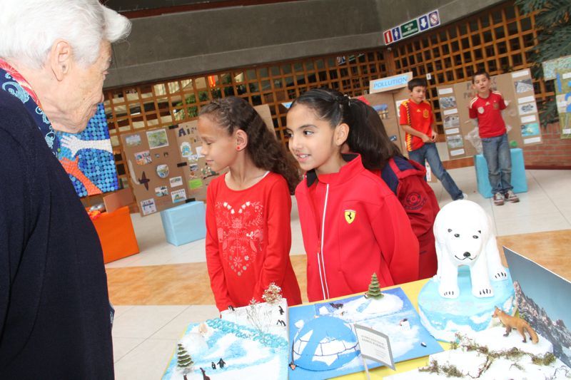 Ir a la Siguiente Foto