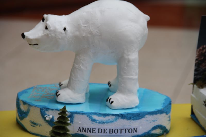 Ir a la Siguiente Foto