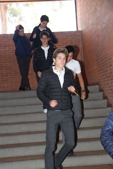 Ir a la Siguiente Foto