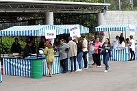 venta_misiones2017155.jpg