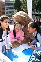 venta_misiones2017360.jpg