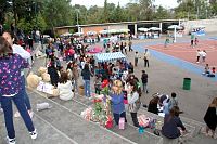 venta_misiones2017477.jpg