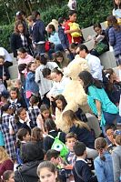 venta_misiones2017517.jpg