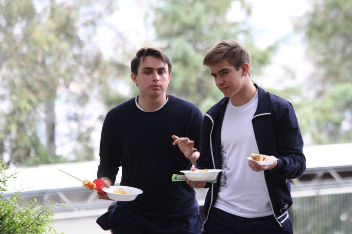 Ir a la Siguiente Foto