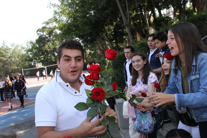 Ir a la Siguiente Foto
