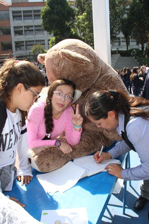 Ir a la Siguiente Foto