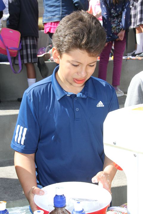 Ir a la Siguiente Foto