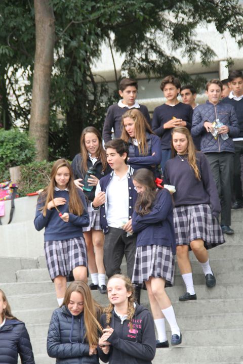 Ir a la Siguiente Foto