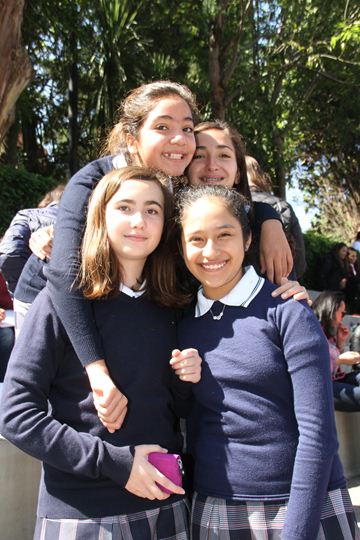 Ir a la Siguiente Foto