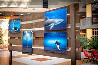 30012019atlantis_mike_expo2019109.jpg