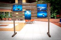30012019atlantis_mike_expo2019110.jpg