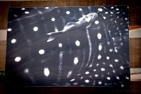 30012019atlantis_mike_expo201983.jpg